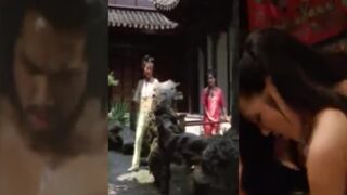 Madame Bamboo MMSub (Chinese)