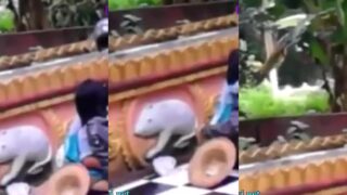 ခိုးစားလေးတွေ-၅၄